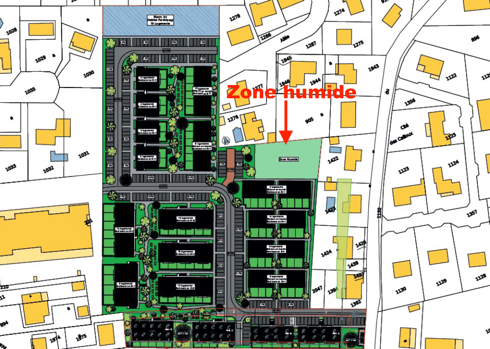 zone humide, Places de Bidon, projet 1